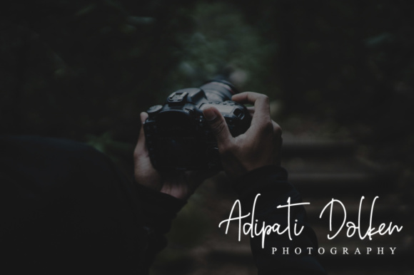 Barthilda Font插图2