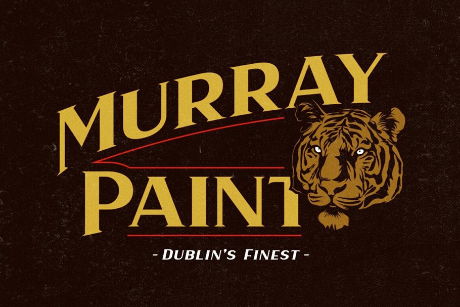 Haarlem Family | 3 in 1 Fonts插图3