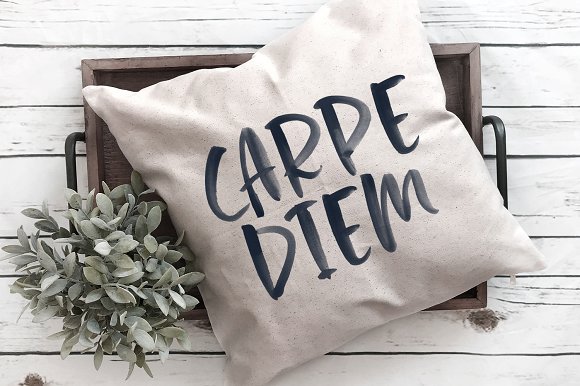 Palmetto SVG Font插图5