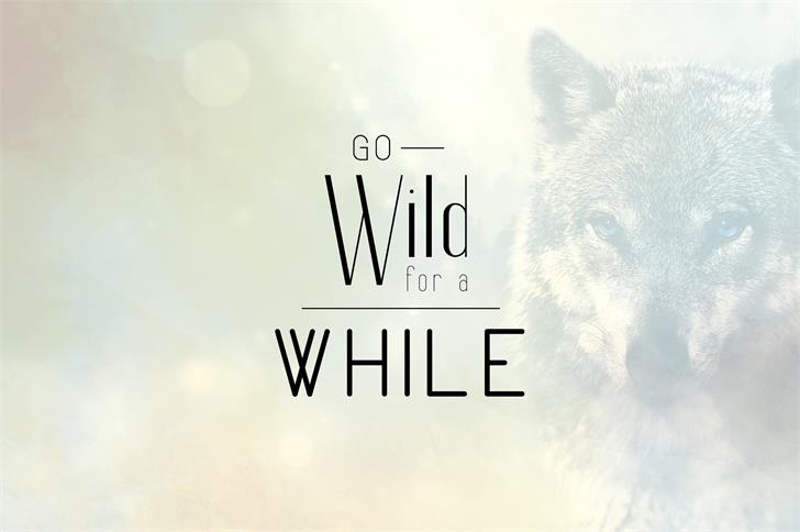 Fancy Light font插图5 Fancy Light font插图5