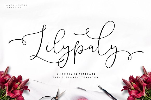 Lilypaly – A Handlettering Font素材之家精选英文字体