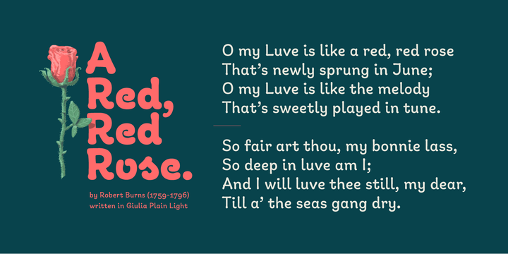 Giulia Font Family插图4