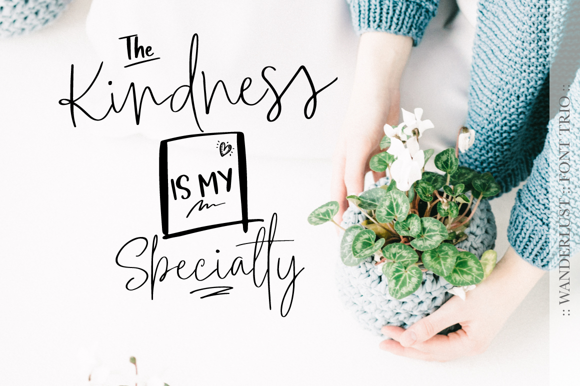 Wanderlust Trio Font Family插图8