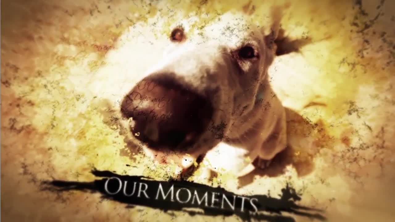 复古时尚精美的墨水幻灯片和标题素材库精选AE模板