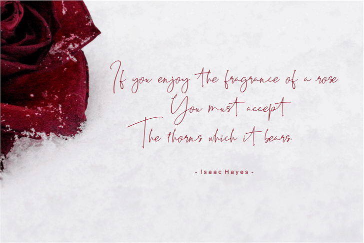 Best Deals font插图4