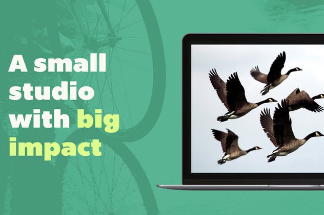 多用途营销/产品演示PPT模板素材 Wasabi — Powerpoint Presentation Template插图(15)