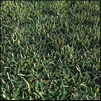 小草草坪素材之家精选3D模型