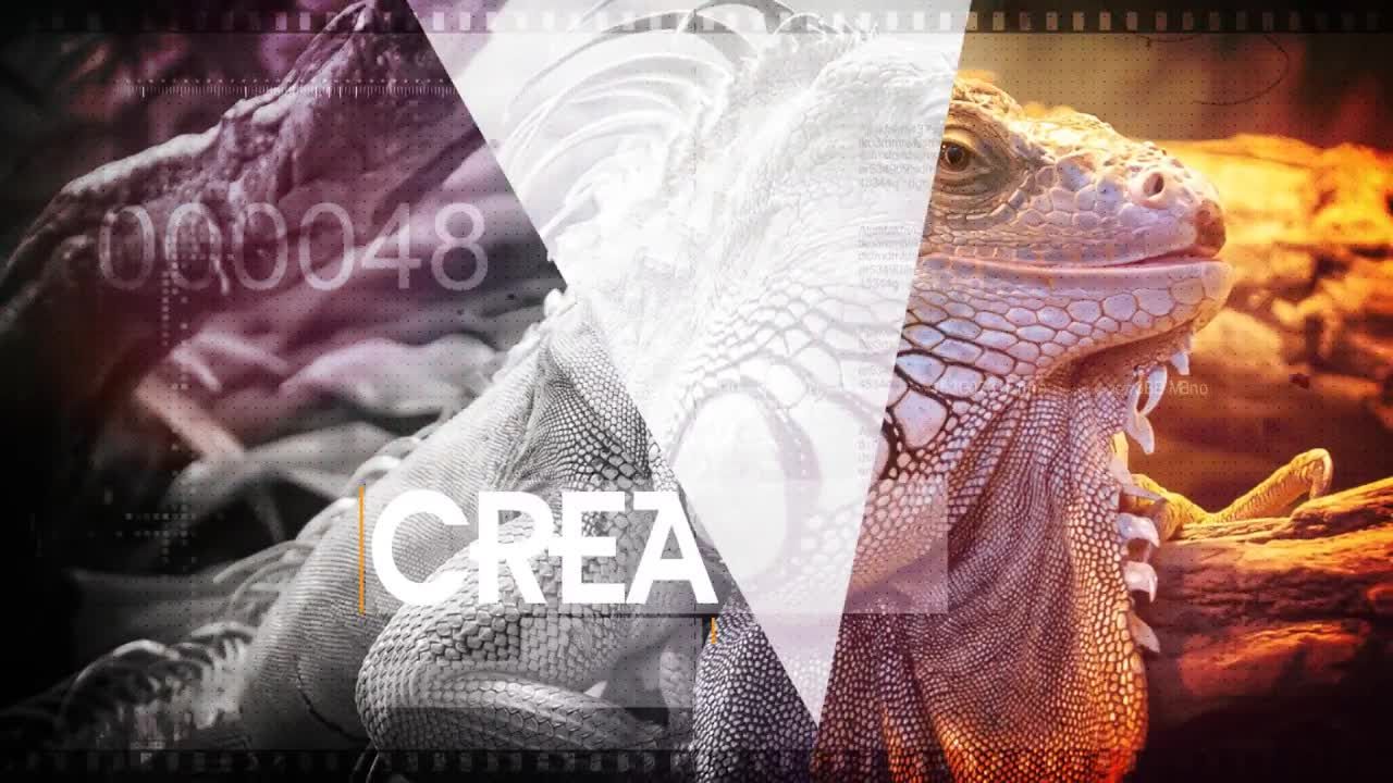 故障主题素材库精选AE模板