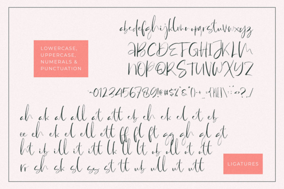 StayHome Brush Font插图5