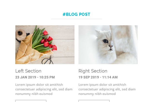 响应式EDM促销邮件模板v2 Simplicity Responsive Email Template | Version 2插图(5)