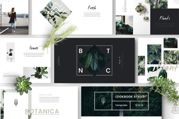 Lookbook风格植物主题Powerpoint模板 FYLORA Lookbook Powerpoint Template