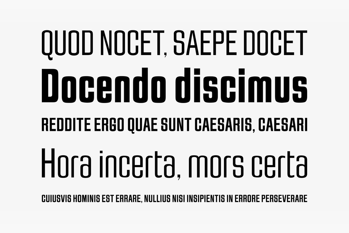 Jay Gothic Font Family插图1