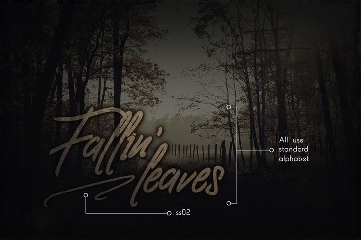 Clovvo Personal Use font插图7