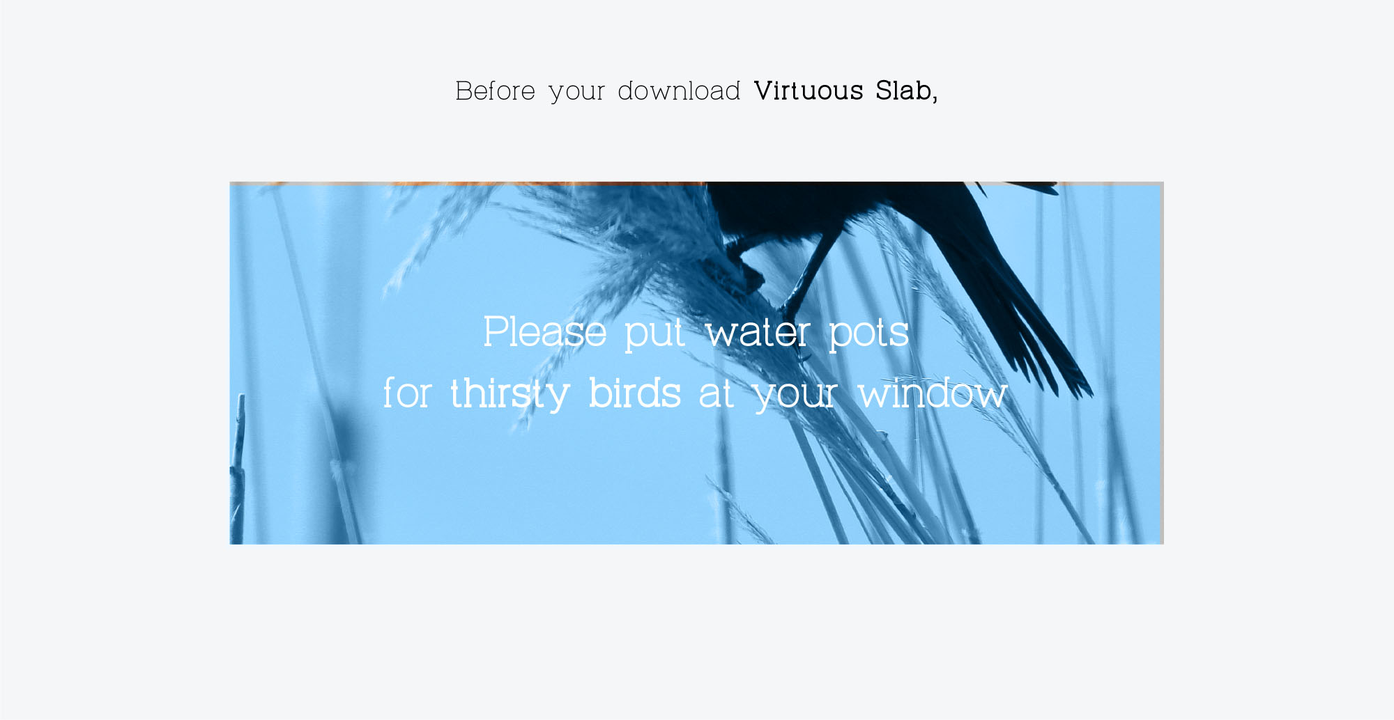 优秀网页设计排版英文衬线字体 Virtuous Slab Font插图(12)