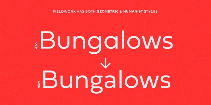 Fieldwork Font Family插图1