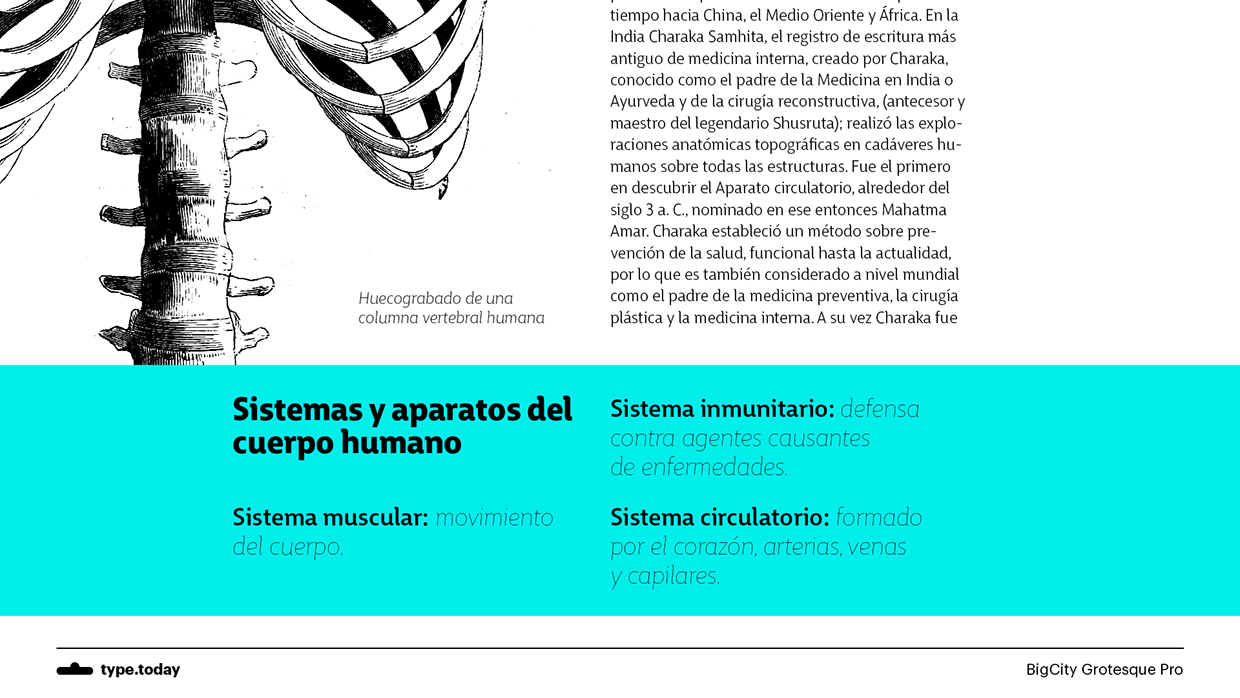 BigCity Grotesque Pro Font Family插图2