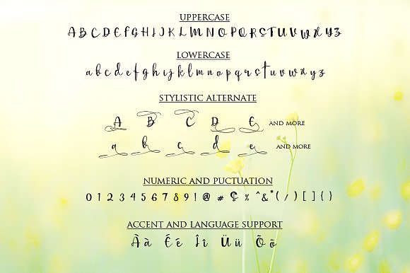 Mellisa Calligraphy Font插图1