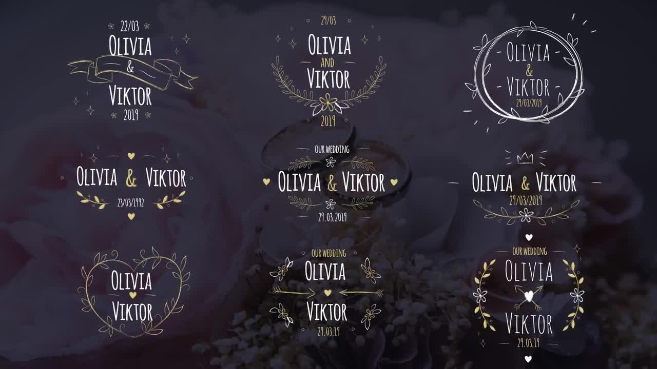 9个全屏标题动画手绘婚礼标签素材库精选AE模板