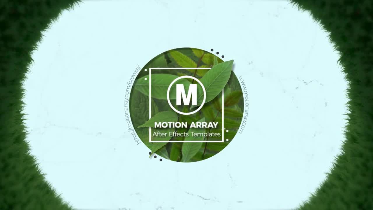 动态叶子自然AE徽标logo模板