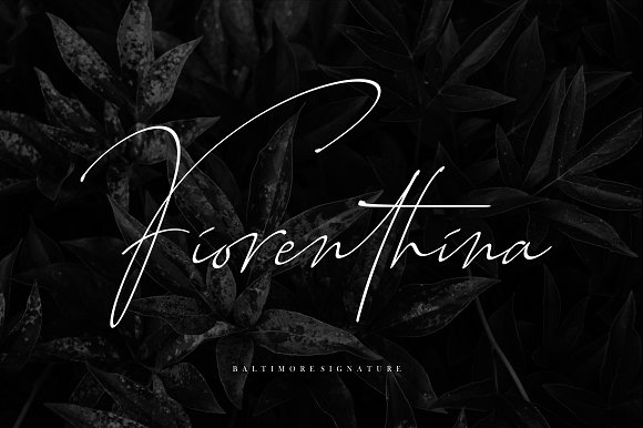 Baltimore – 4 Font Family插图3