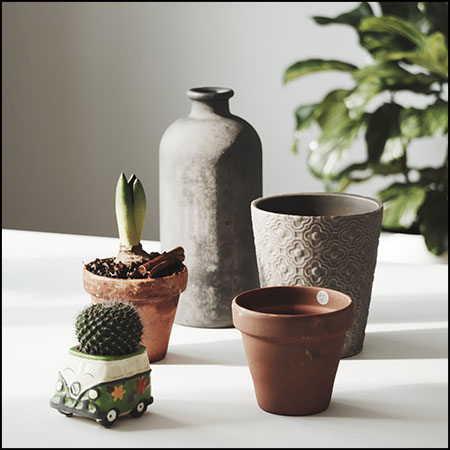 陶瓷花瓶和球形仙人掌素材之家精选3D模型