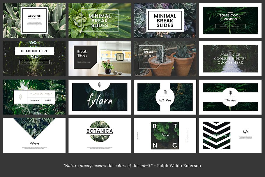 Lookbook风格植物主题Powerpoint模板 FYLORA Lookbook Powerpoint Template插图(2)