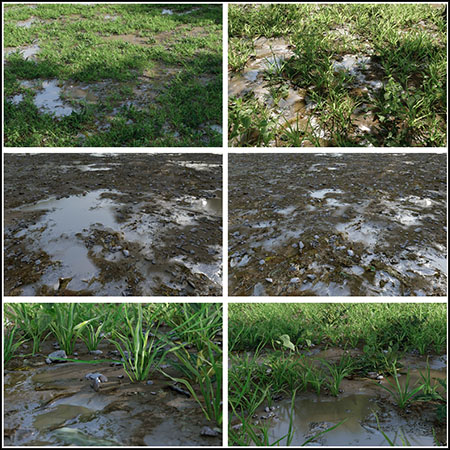 野生小草草丛植物素材包素材之家精选3D模型