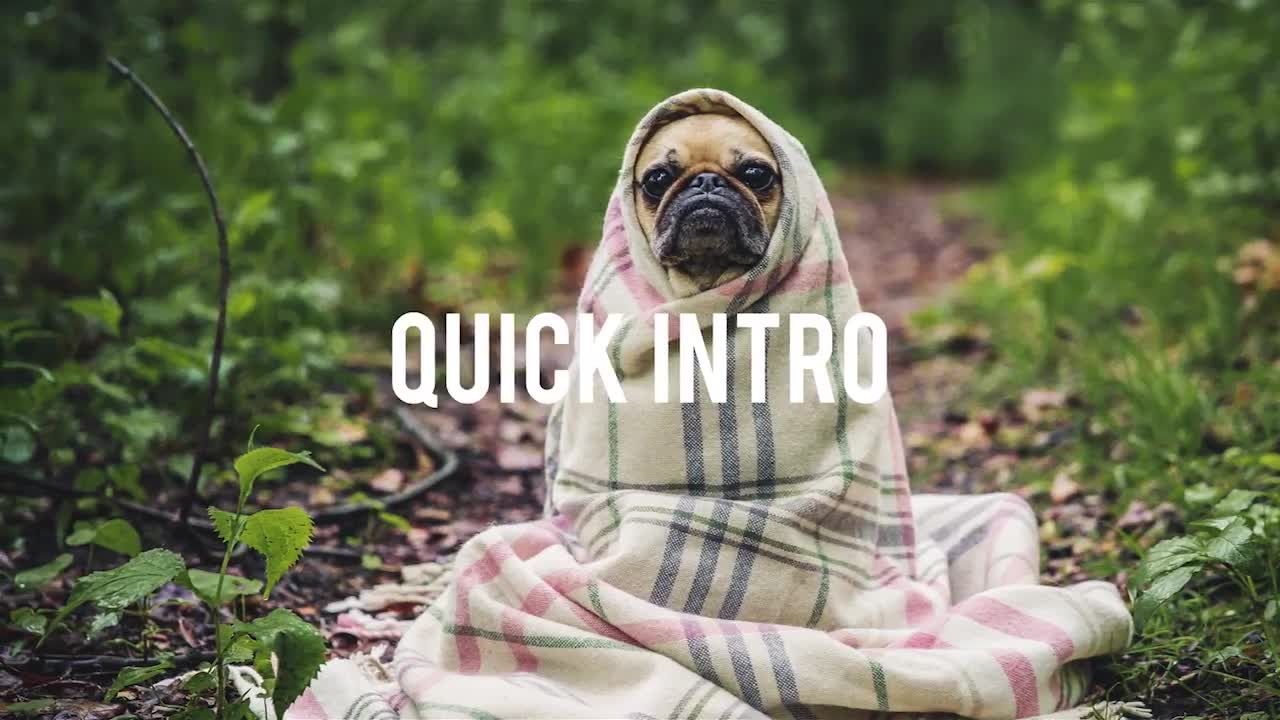 创意快速活力的动画排版视频素材库精选AE模板