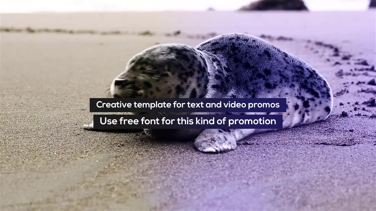 践踏错别字标题素材库精选AE模板