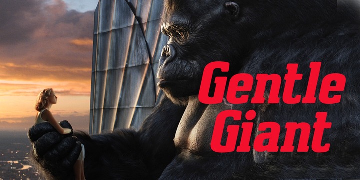 Brando Font Family by Studio K插图5