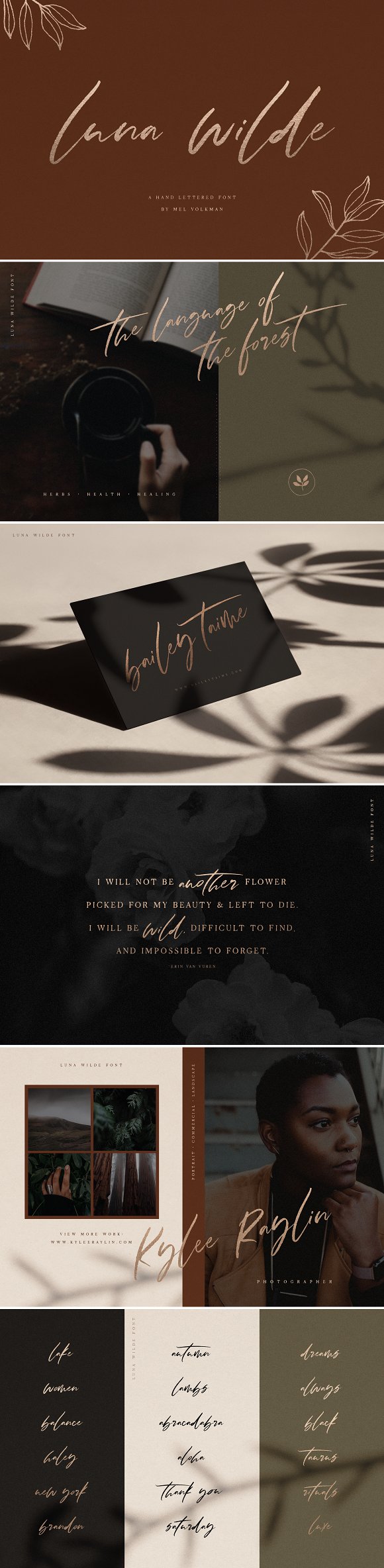 Luna Wilde Hand Lettered Font插图