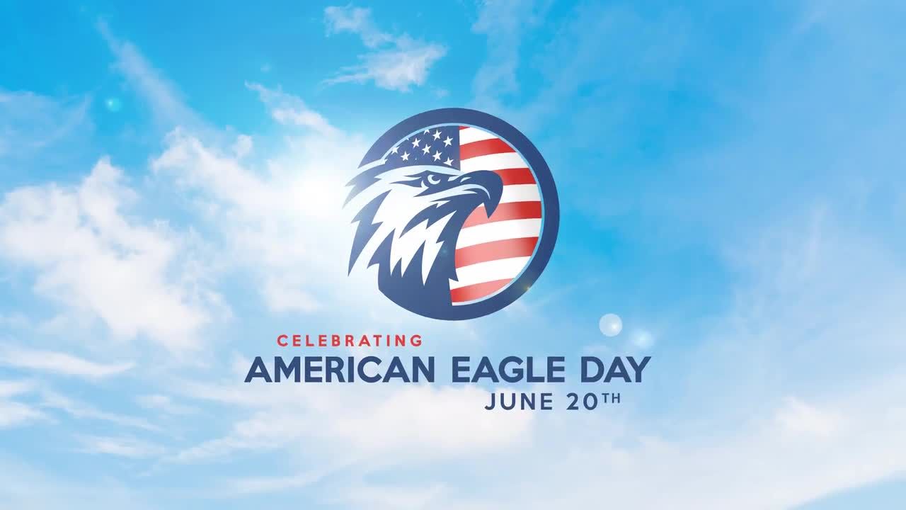 美国鹰节素材库精选AE模板