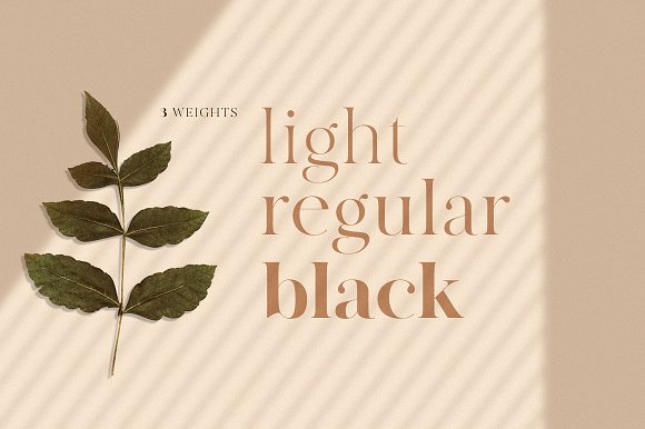 MADE Canvas Font插图2