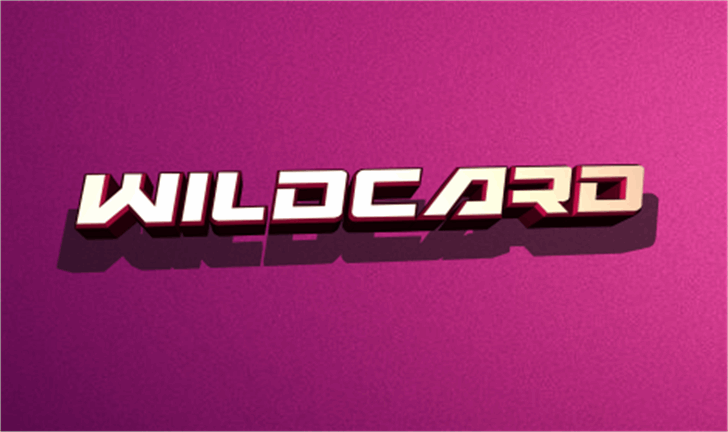 Wildcard font插图 Wildcard font插图