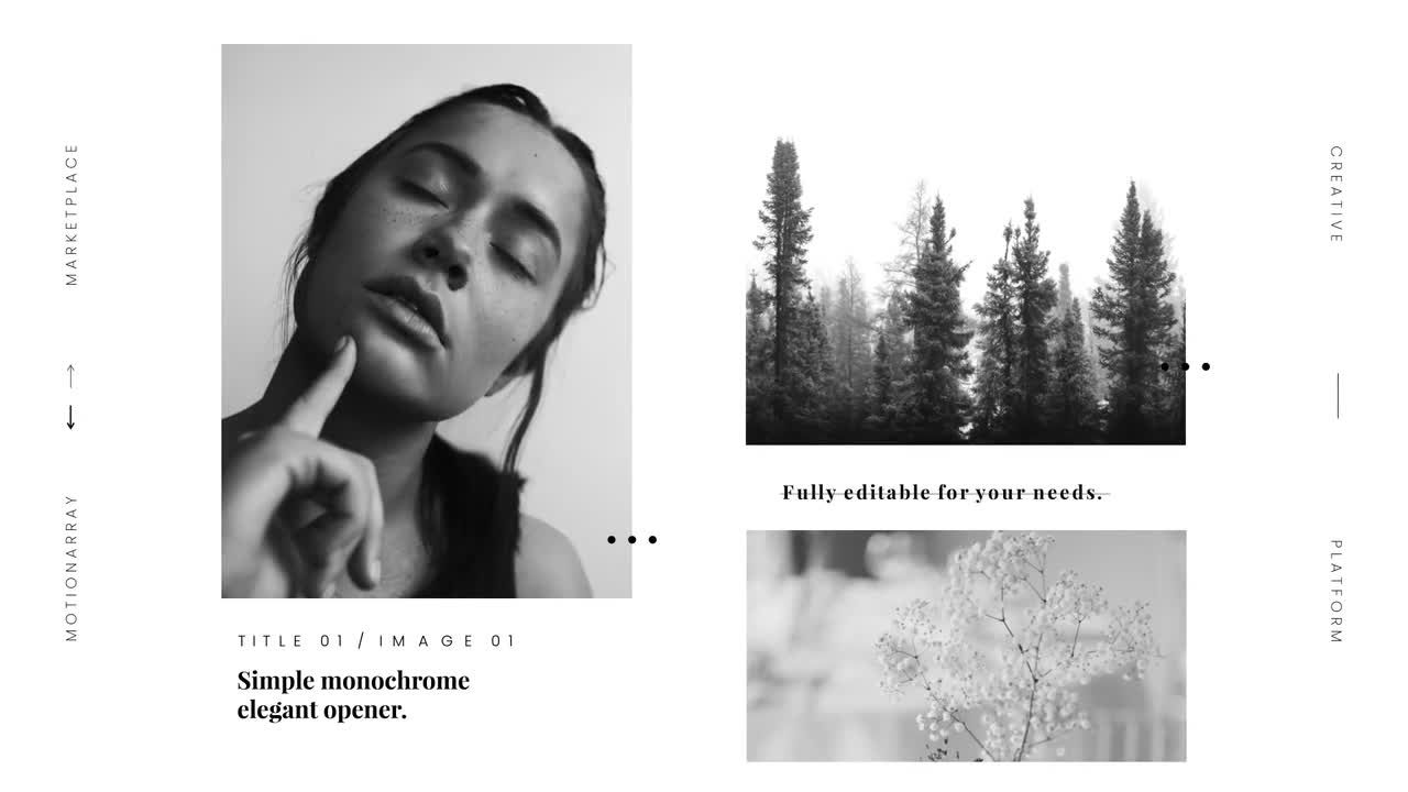 时尚的单色优雅转场效果素材库精选AE模板