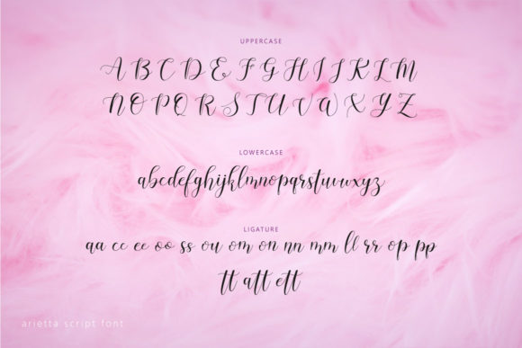 Arietta Font插图1