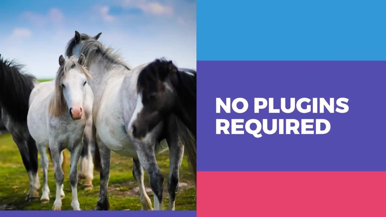 电视节目活动视频素材库精选AE模板