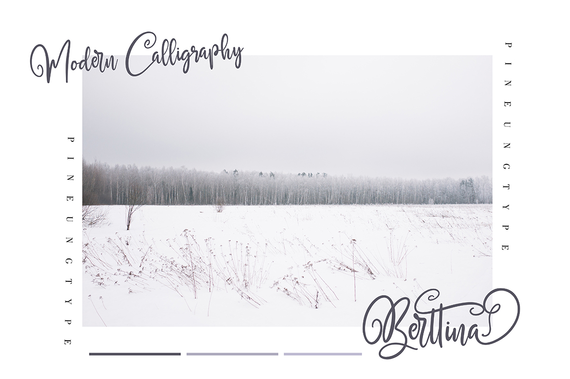 FontBundles – Berttina插图1