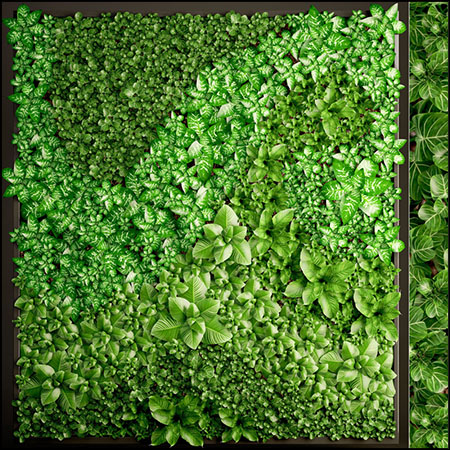 绿色立式植物墙素材之家精选3D模型