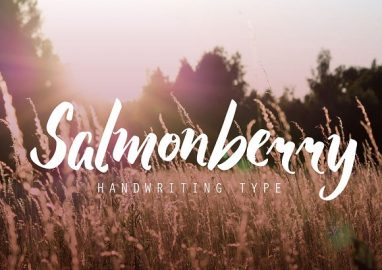 Salmonberry Font素材之家精选英文字体