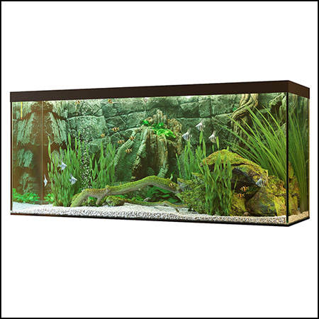 水族馆鱼缸素材之家精选3D模型