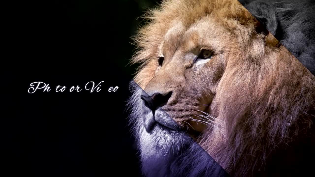 设计精美的照片幻灯片素材库精选AE模板