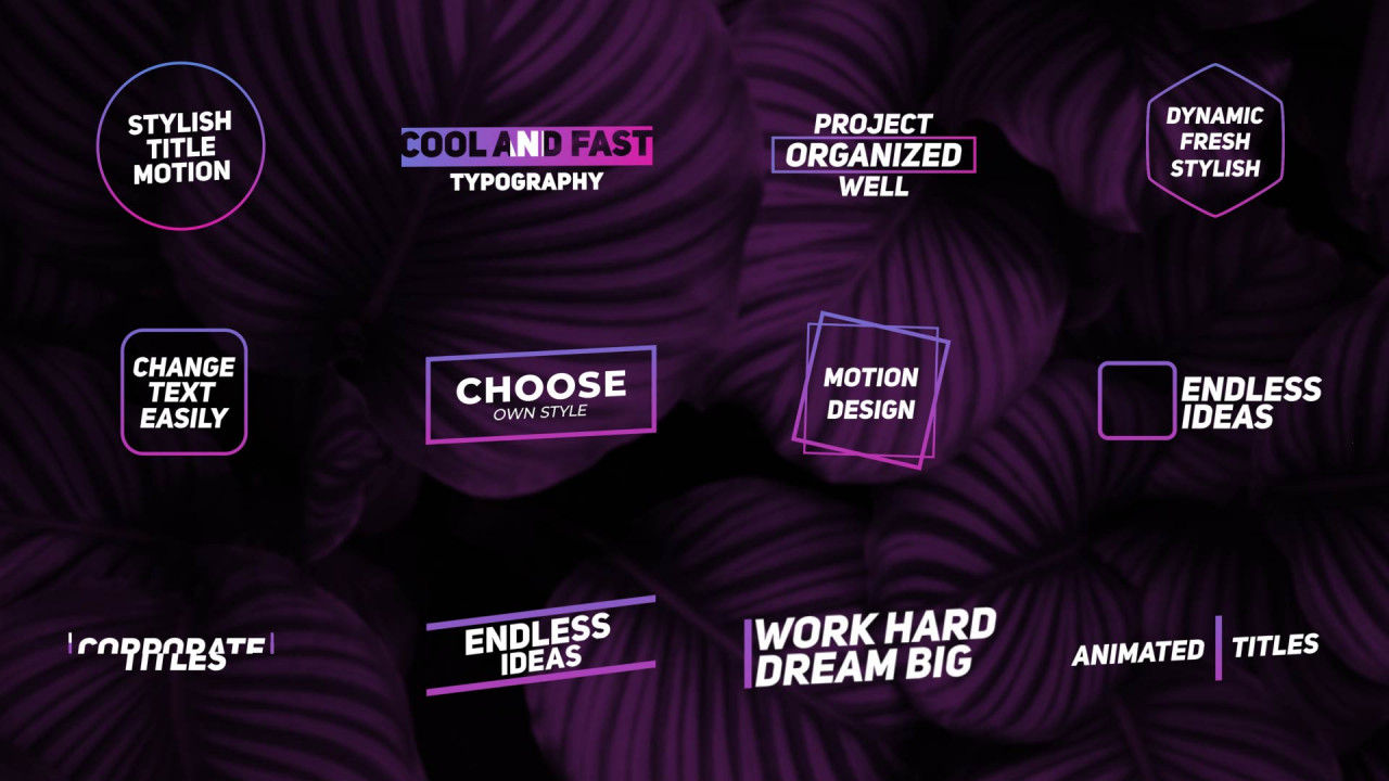 12个清晰优雅的动画全屏标题素材库精选AE模板