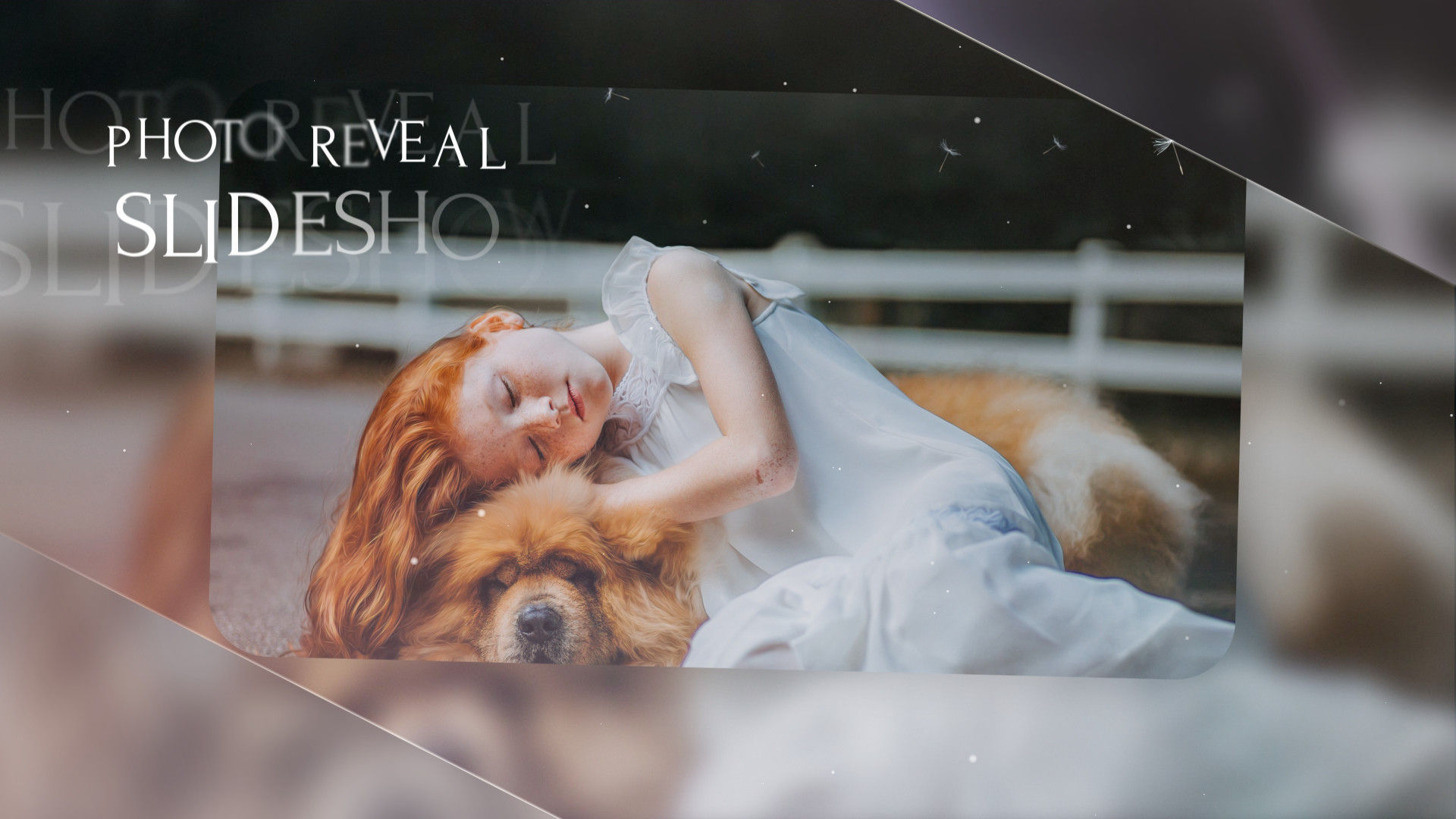 优雅展现幻灯片放映素材库精选AE模板