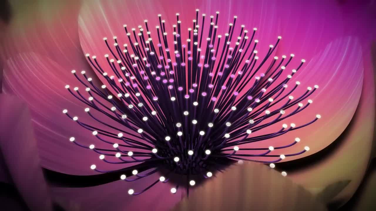 具有艺术创意的园艺中心宣传介绍素材库精选AE模板