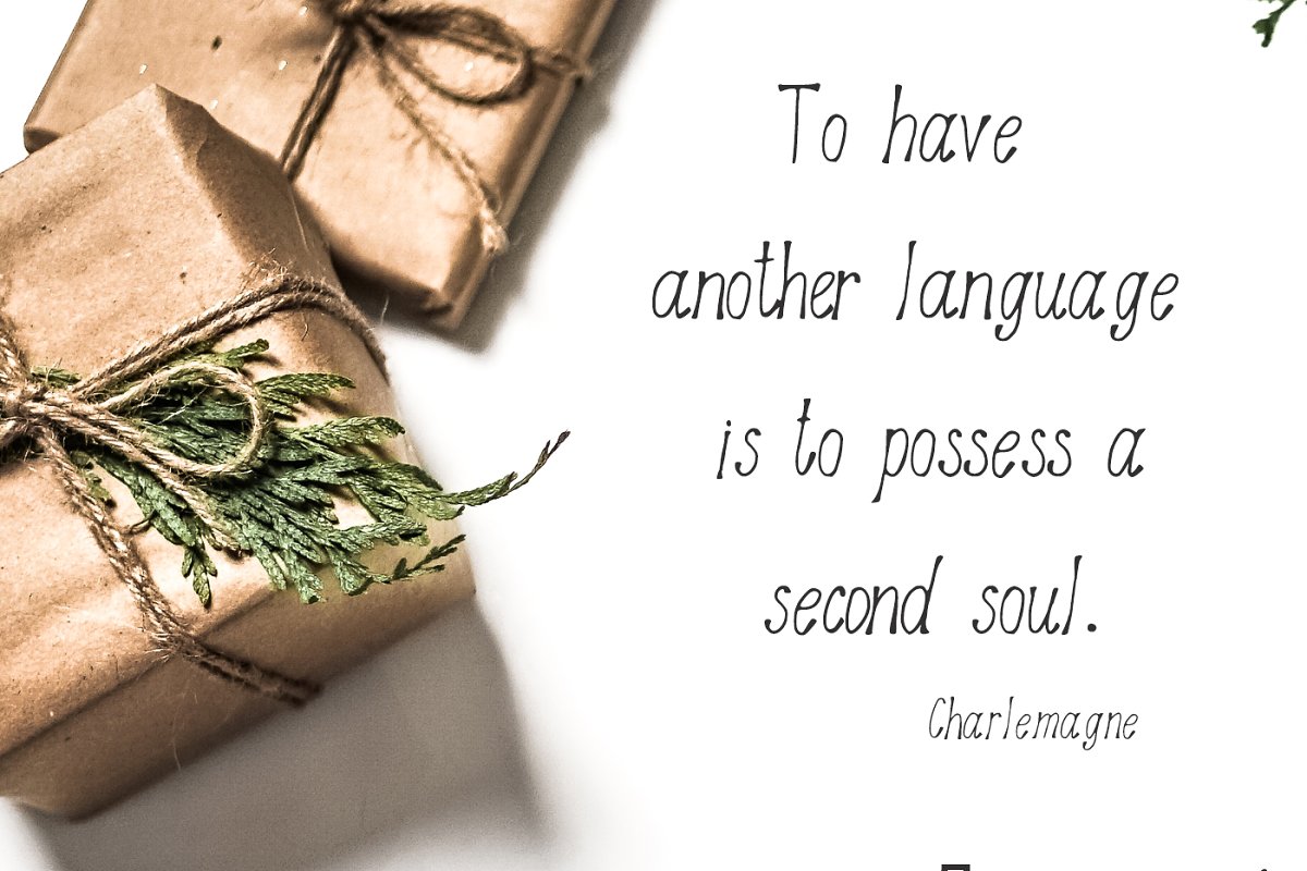 Astrantia Font插图3