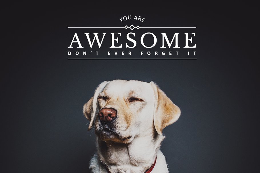 20款Ins社交媒体平台适用Banner模板素材库精选 20 Inspiring Instagram Banners插图(6)