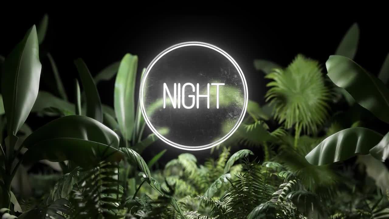 具有霓虹发光效果的有机动画素材库精选AE模板