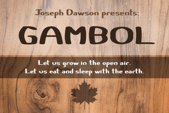 Certainly font插图