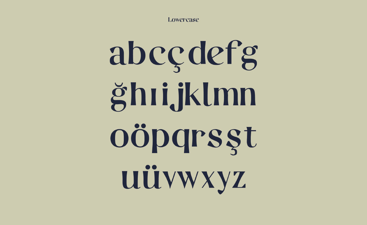 才华横溢女设计师之作-优雅英文衬线字体下载 Casual Font插图(1)